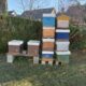 Suite DC vends ruches vides (6), 2 ruches avec essaim, ruchettes, extracteur manuel et maturateur 5L