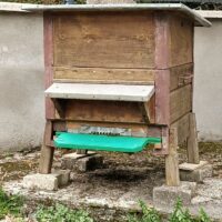 vente ruches peuplées